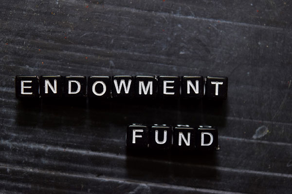 Featured image for “What is an Endowment Fund and who does it benefit?”